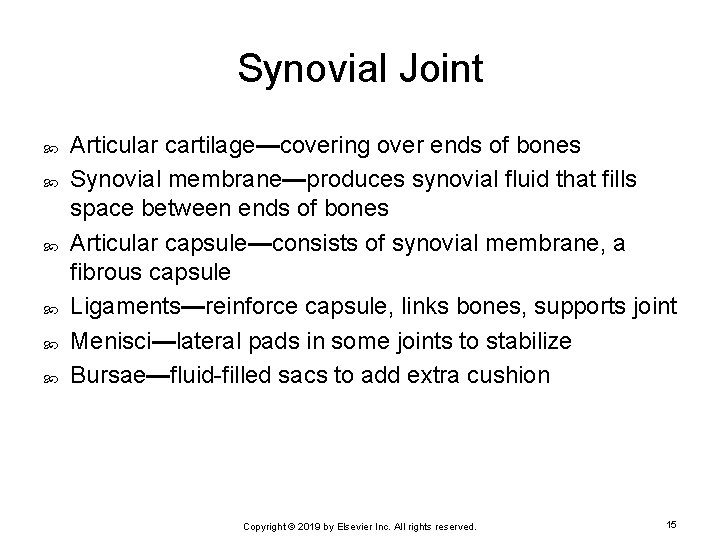 Synovial Joint Articular cartilage—covering over ends of bones Synovial membrane—produces synovial fluid that fills