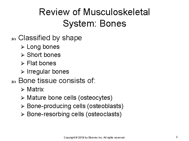 Review of Musculoskeletal System: Bones Classified by shape Long bones Ø Short bones Ø