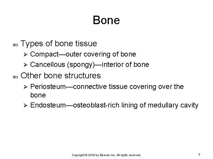 Bone Types of bone tissue Compact—outer covering of bone Ø Cancellous (spongy)—interior of bone