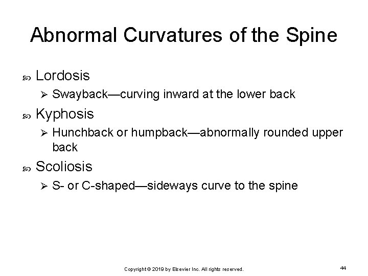 Abnormal Curvatures of the Spine Lordosis Ø Kyphosis Ø Swayback—curving inward at the lower