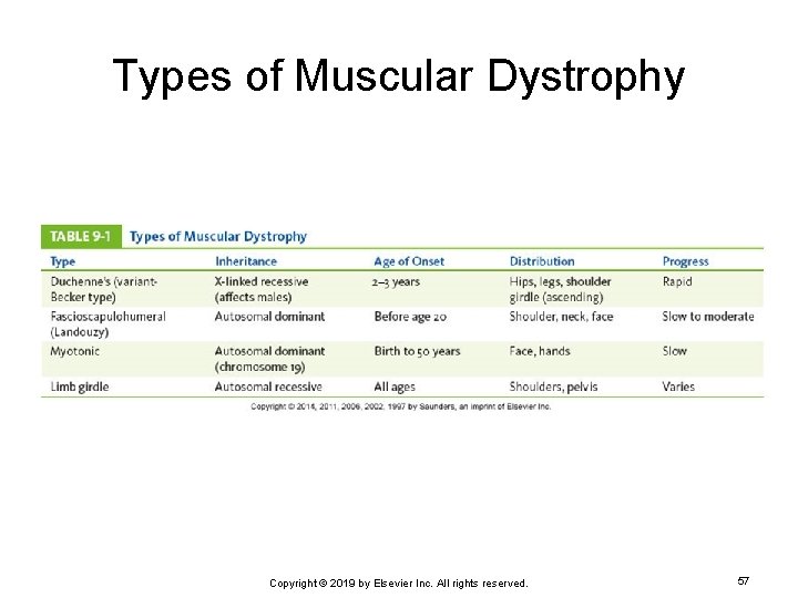 Types of Muscular Dystrophy Copyright © 2019 by Elsevier Inc. All rights reserved. 57