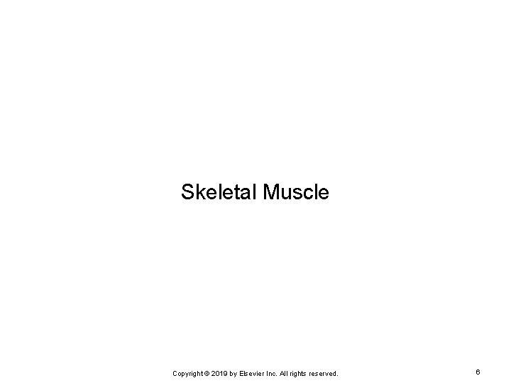 Skeletal Muscle Copyright © 2019 by Elsevier Inc. All rights reserved. 6 