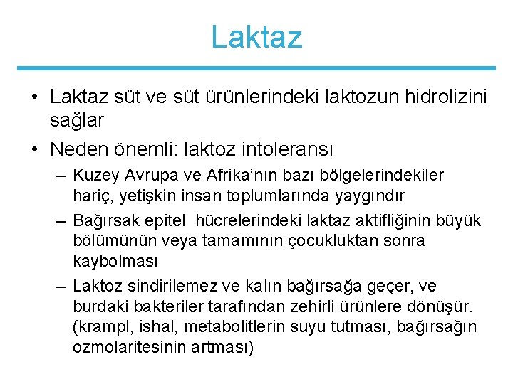 Laktaz • Laktaz süt ve süt ürünlerindeki laktozun hidrolizini sağlar • Neden önemli: laktoz