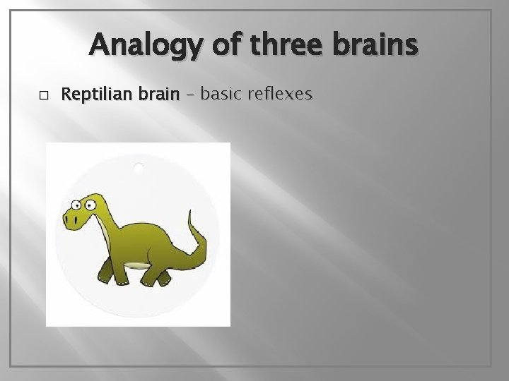 Analogy of three brains � Reptilian brain – basic reflexes 