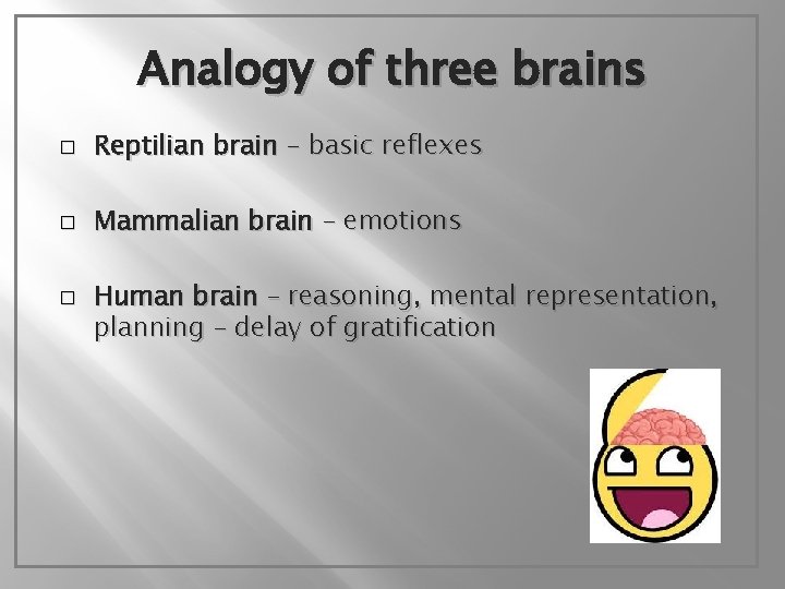 Analogy of three brains � Reptilian brain – basic reflexes � Mammalian brain –