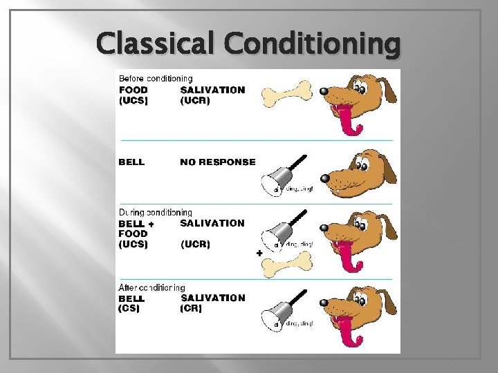 Classical Conditioning 