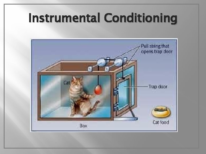 Instrumental Conditioning 