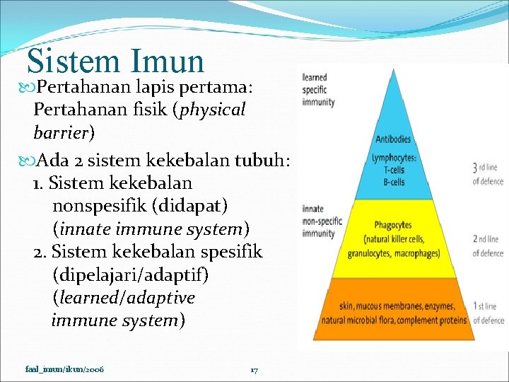 Sistem Imun Pertahanan lapis pertama: Pertahanan fisik (physical barrier) Ada 2 sistem kekebalan tubuh: