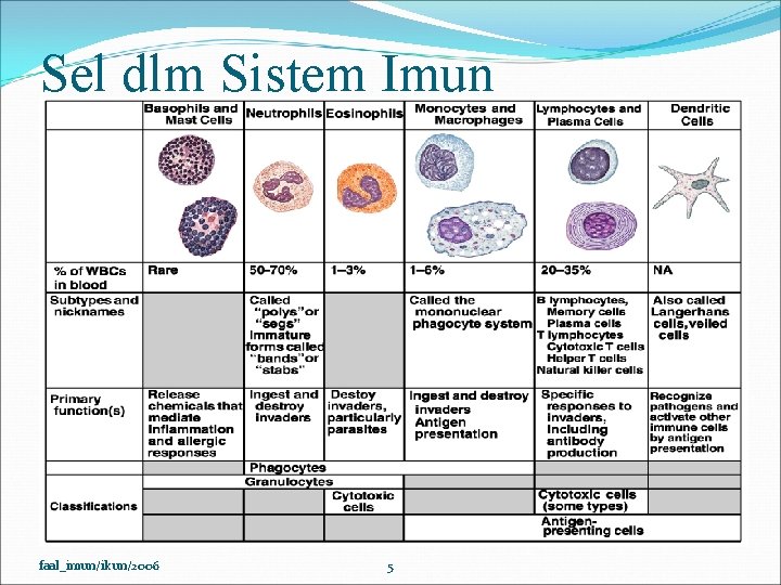 Sel dlm Sistem Imun faal_imun/ikun/2006 5 