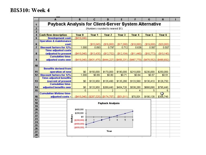 BIS 310: Week 4 