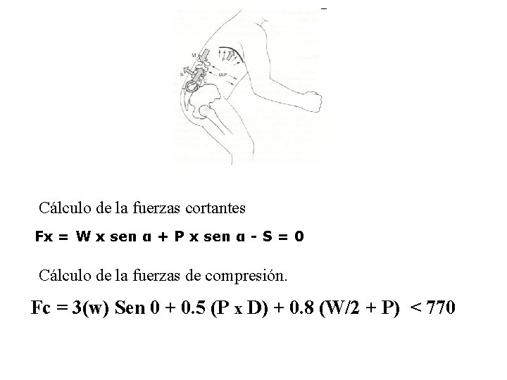 Cálculo de la fuerzas cortantes Fx = W x sen α + P x