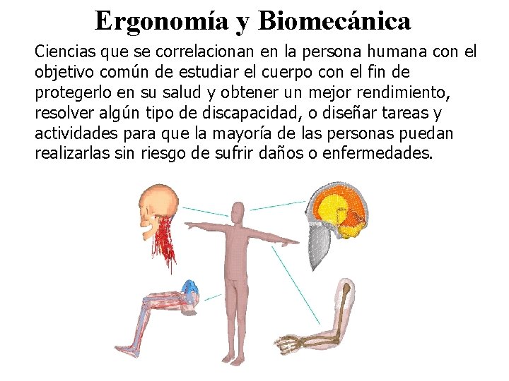 Ergonomía y Biomecánica Ciencias que se correlacionan en la persona humana con el objetivo