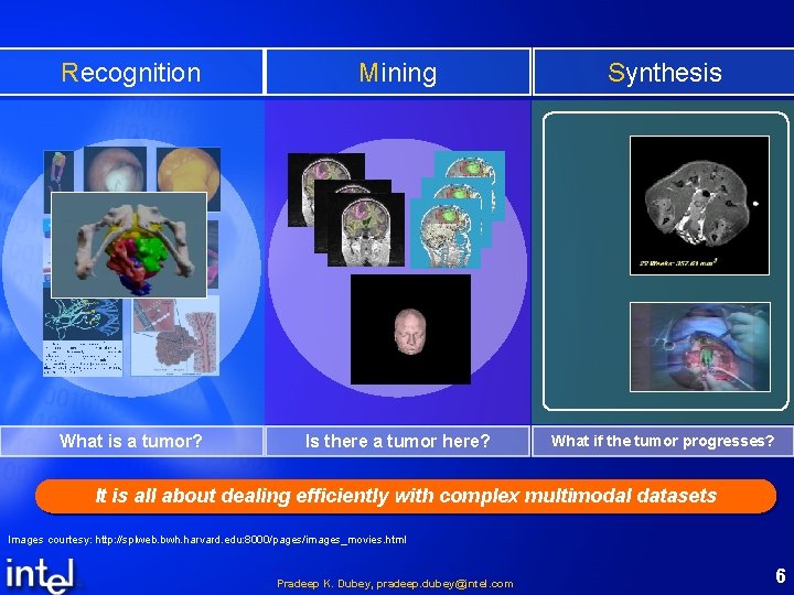 Recognition Mining Synthesis What is a tumor? Is there a tumor here? What if