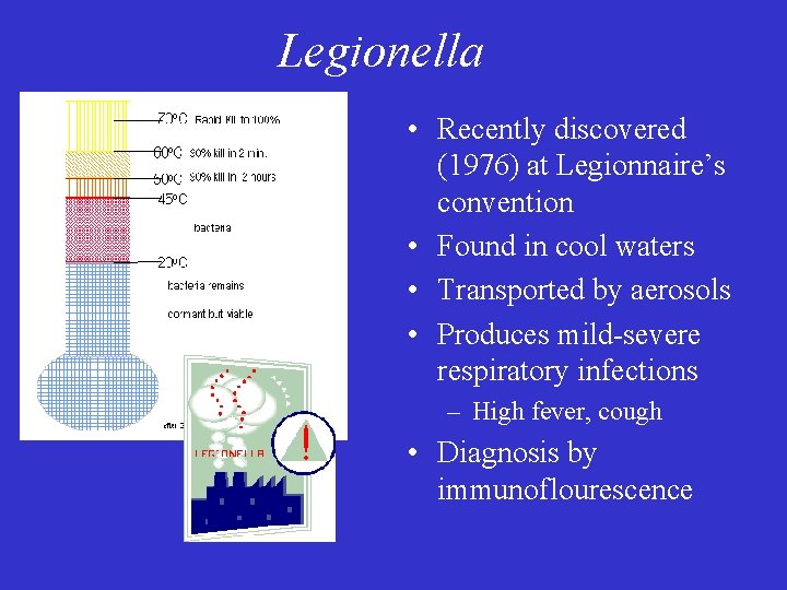 Legionella • Recently discovered (1976) at Legionnaire’s convention • Found in cool waters •