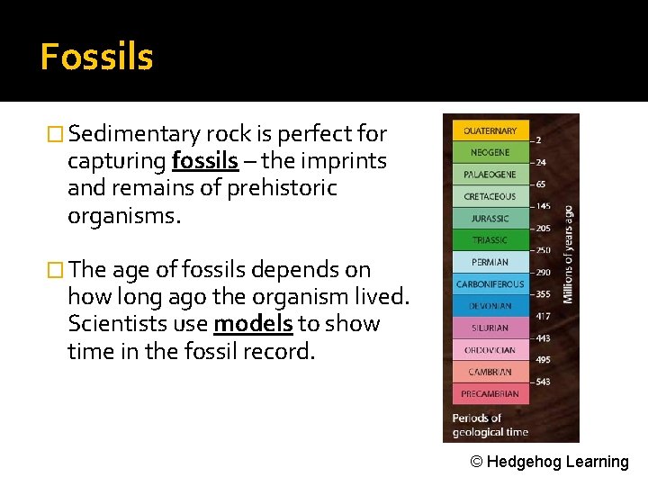 Fossils � Sedimentary rock is perfect for capturing fossils – the imprints and remains