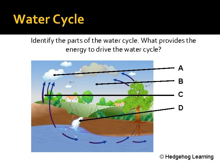 Water Cycle Identify the parts of the water cycle. What provides the energy to