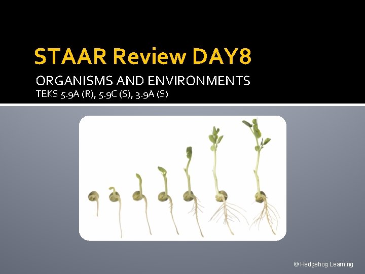 STAAR Review DAY 8 ORGANISMS AND ENVIRONMENTS TEKS 5. 9 A (R), 5. 9