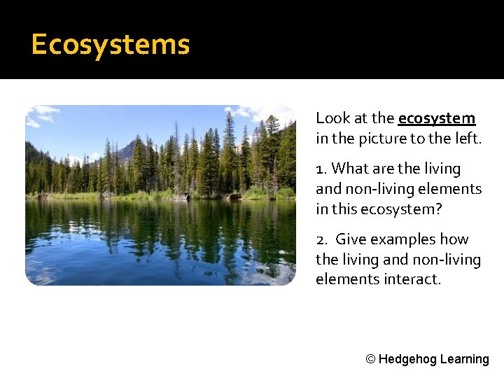 Ecosystems Look at the ecosystem in the picture to the left. 1. What are