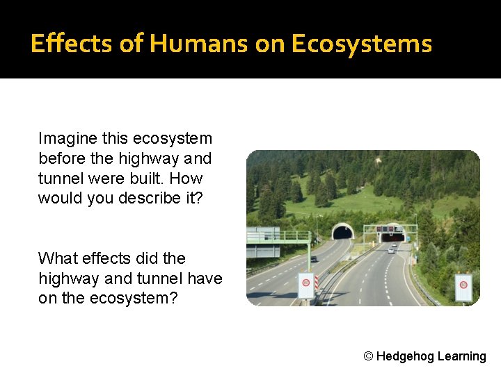 Effects of Humans on Ecosystems Imagine this ecosystem before the highway and tunnel were