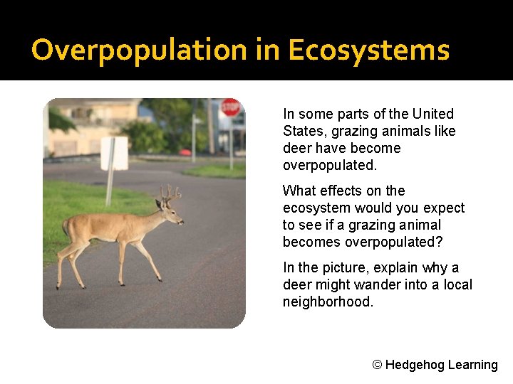 Overpopulation in Ecosystems In some parts of the United States, grazing animals like deer