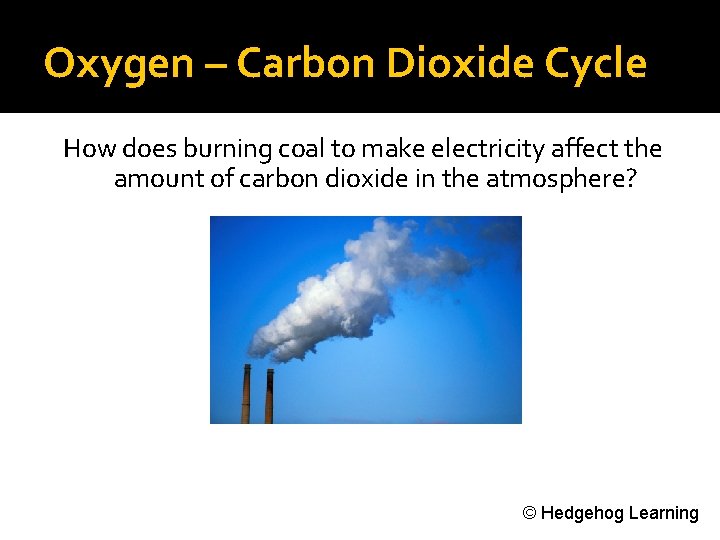 Oxygen – Carbon Dioxide Cycle How does burning coal to make electricity affect the