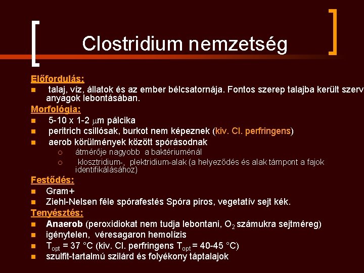 Clostridium nemzetség Előfordulás: n talaj, víz, állatok és az ember bélcsatornája. Fontos szerep talajba