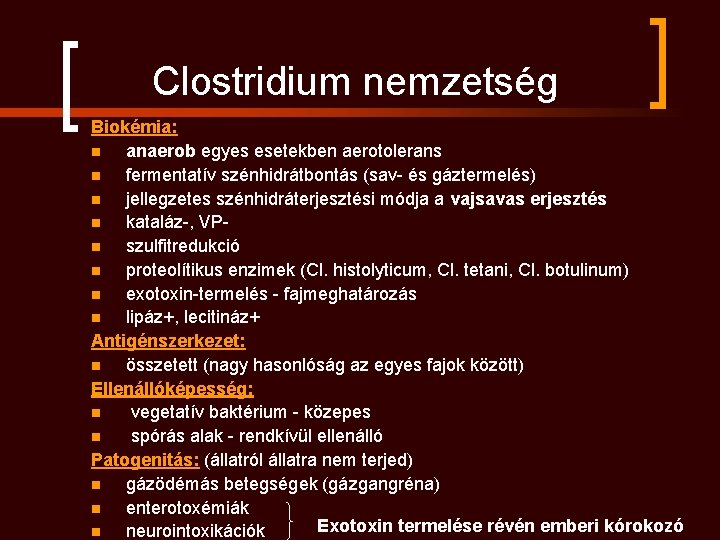 Clostridium nemzetség Biokémia: n anaerob egyes esetekben aerotolerans n fermentatív szénhidrátbontás (sav- és gáztermelés)