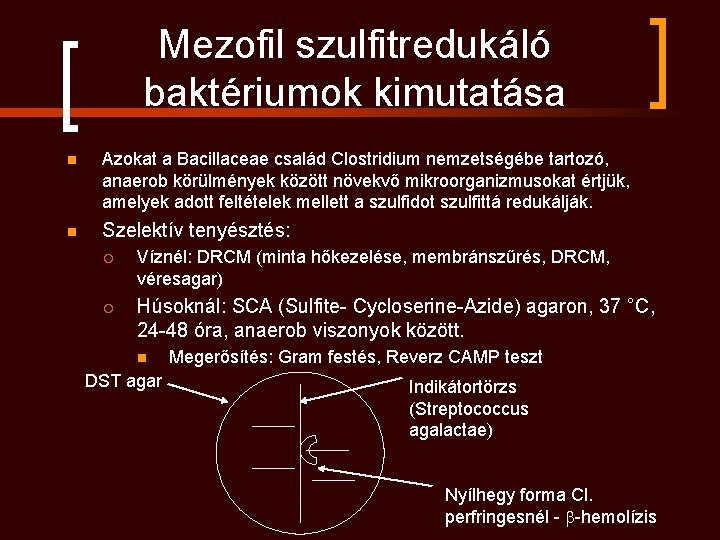 Mezofil szulfitredukáló baktériumok kimutatása n Azokat a Bacillaceae család Clostridium nemzetségébe tartozó, anaerob körülmények