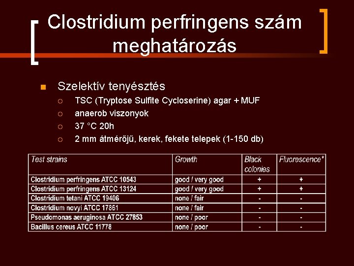 Clostridium perfringens szám meghatározás n Szelektív tenyésztés ¡ ¡ TSC (Tryptose Sulfite Cycloserine) agar