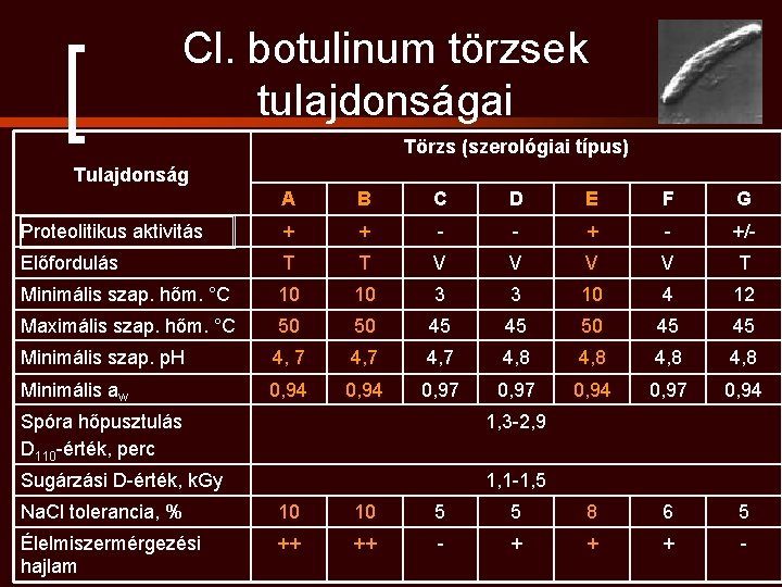 Cl. botulinum törzsek tulajdonságai Törzs (szerológiai típus) Tulajdonság A B C D E F