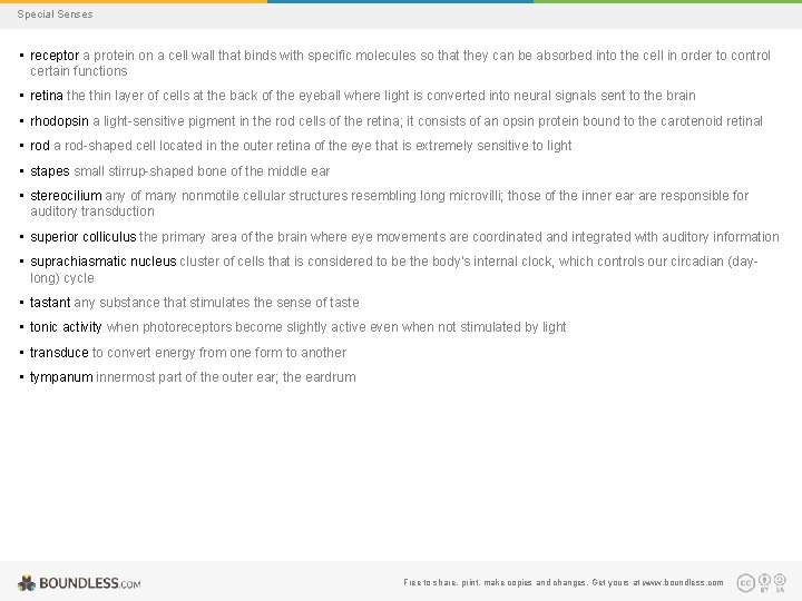 Special Senses • receptor a protein on a cell wall that binds with specific
