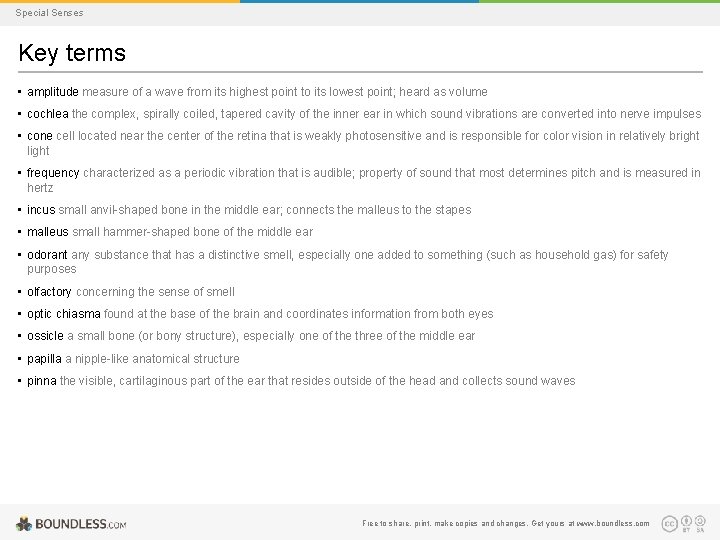 Special Senses Key terms • amplitude measure of a wave from its highest point