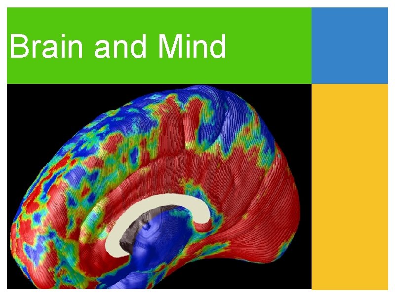 Brain and Mind 