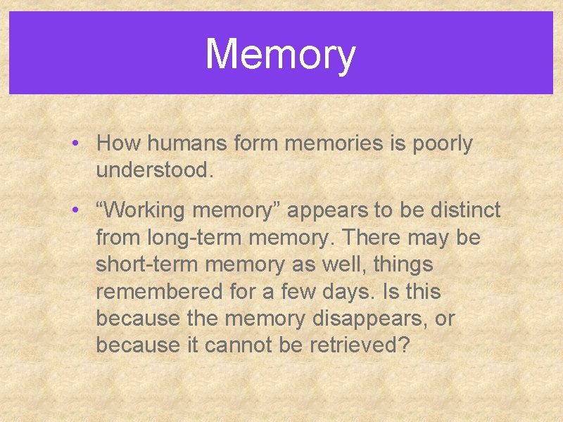 Memory • How humans form memories is poorly understood. • “Working memory” appears to