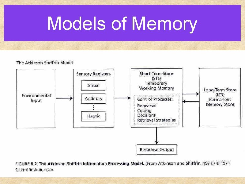 Models of Memory 