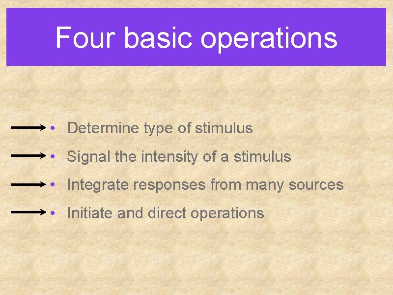 Four basic operations • Determine type of stimulus • Signal the intensity of a