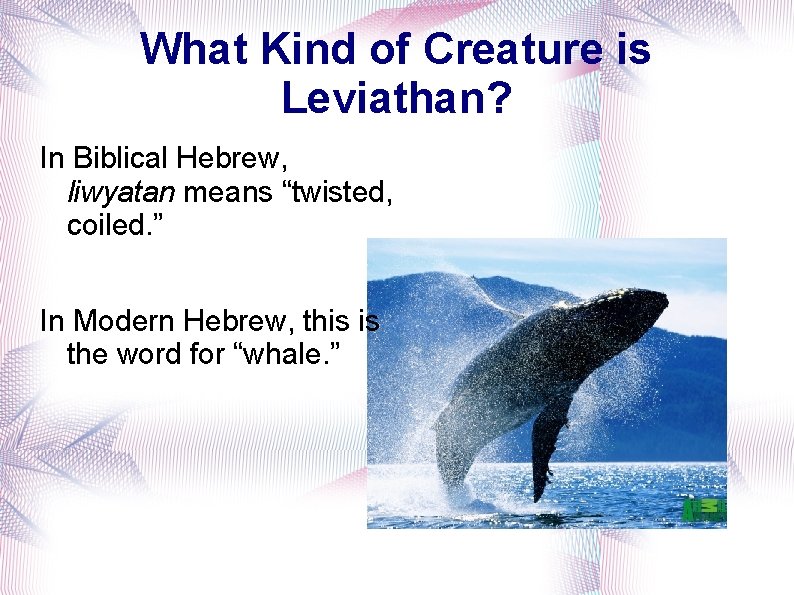 What Kind of Creature is Leviathan? In Biblical Hebrew, liwyatan means “twisted, coiled. ”