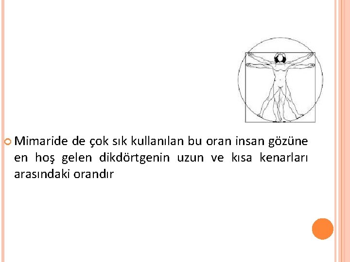  Mimaride de çok sık kullanılan bu oran insan gözüne en hoş gelen dikdörtgenin
