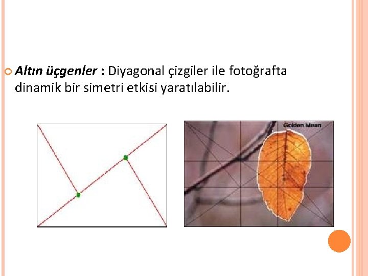  Altın üçgenler : Diyagonal çizgiler ile fotoğrafta dinamik bir simetri etkisi yaratılabilir. 