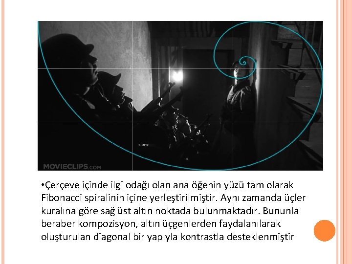  • Çerçeve içinde ilgi odağı olan ana öğenin yüzü tam olarak Fibonacci spiralinin