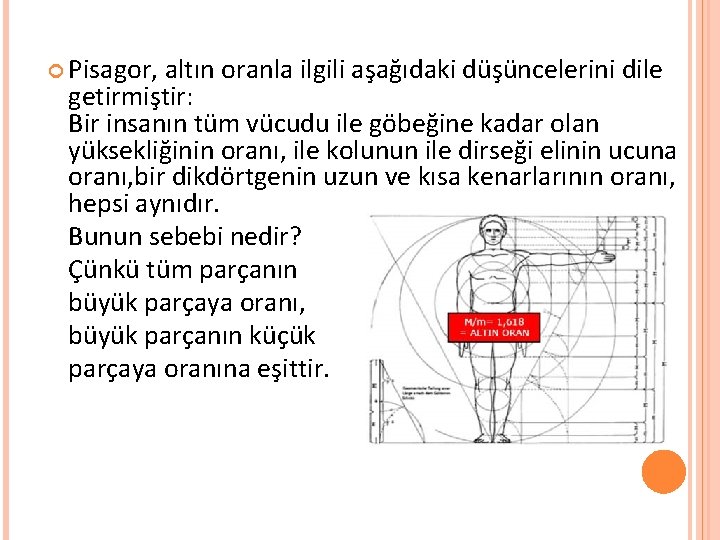  Pisagor, altın oranla ilgili aşağıdaki düşüncelerini dile getirmiştir: Bir insanın tüm vücudu ile