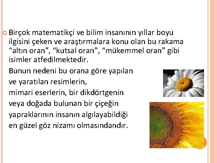  Birçok matematikçi ve bilim insanının yıllar boyu ilgisini çeken ve araştırmalara konu olan