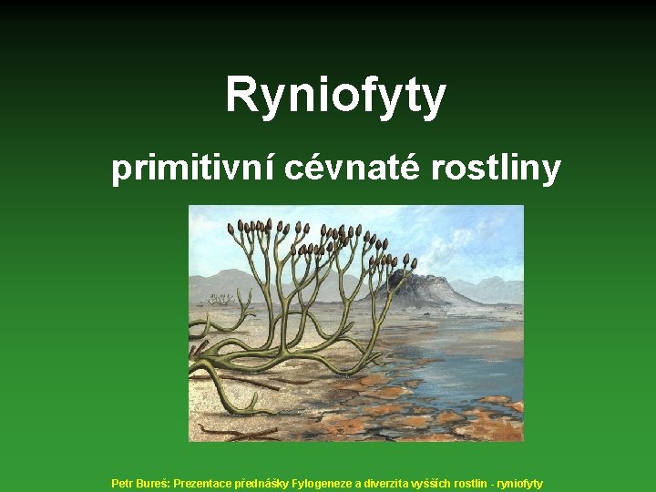 Ryniofyty primitivní cévnaté rostliny Petr Bureš: Prezentace přednášky Fylogeneze a diverzita vyšších rostlin -