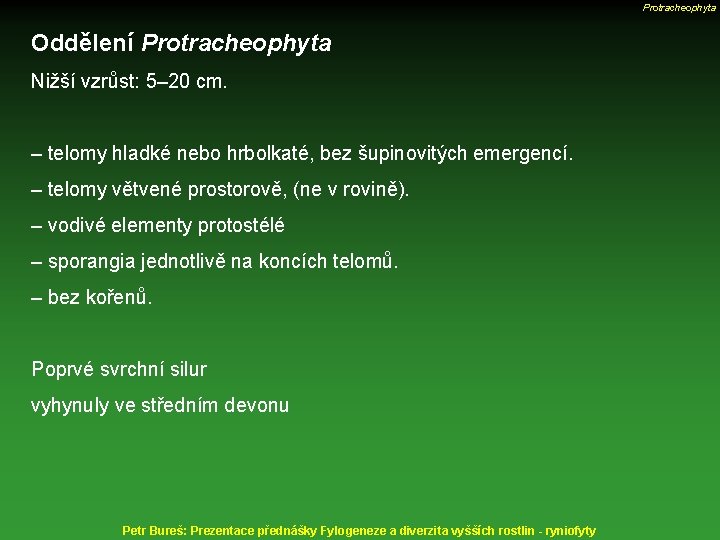 Protracheophyta Oddělení Protracheophyta Nižší vzrůst: 5– 20 cm. – telomy hladké nebo hrbolkaté, bez