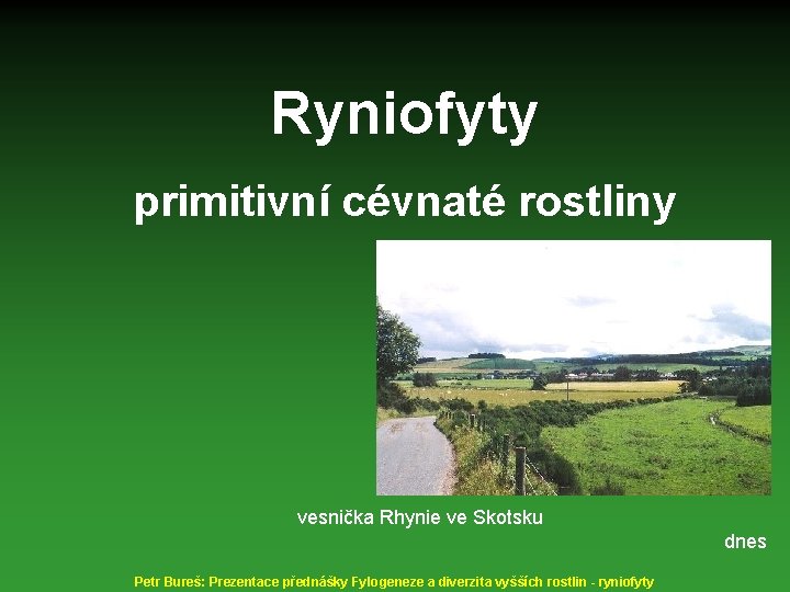 Ryniofyty primitivní cévnaté rostliny vesnička Rhynie ve Skotsku dnes Petr Bureš: Prezentace přednášky Fylogeneze