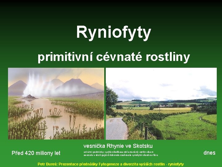 Ryniofyty primitivní cévnaté rostliny vesnička Rhynie ve Skotsku Před 420 miliony let unikátní podmínky: