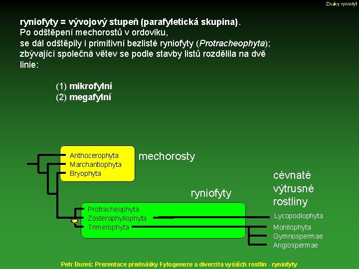 Znaky ryniofyty = vývojový stupeň (parafyletická skupina). Po odštěpení mechorostů v ordoviku, se dál
