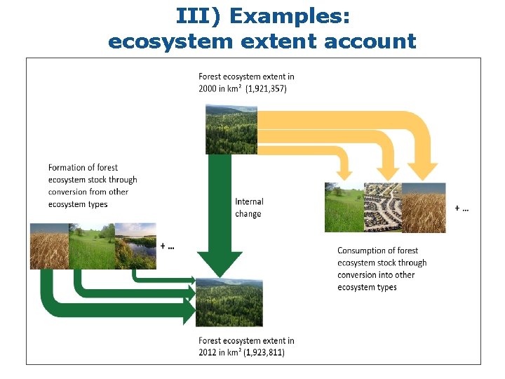 III) Examples: ecosystem extent account 9 