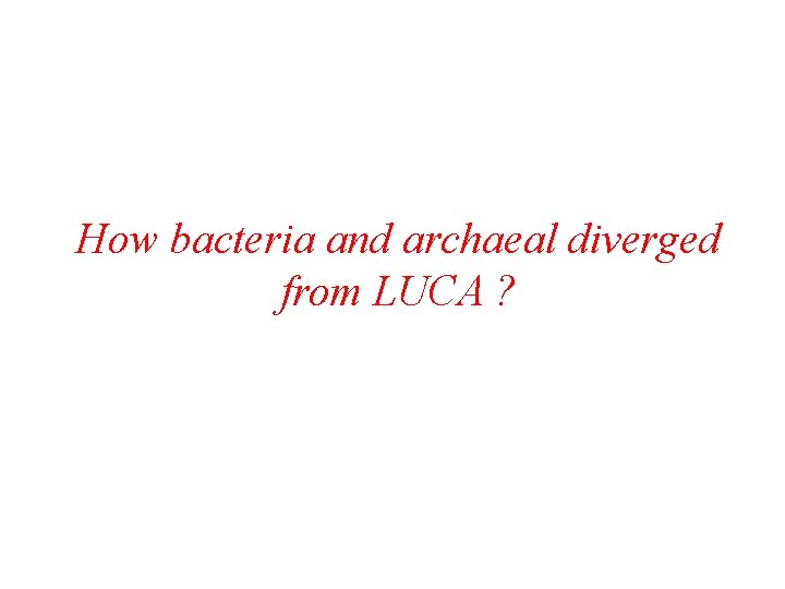 How bacteria and archaeal diverged from LUCA ? 