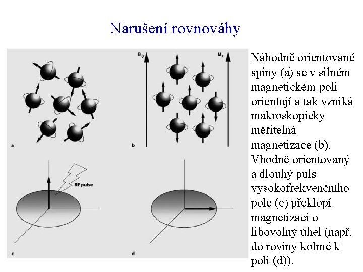 Narušení rovnováhy Náhodně orientované spiny (a) se v silném magnetickém poli orientují a tak